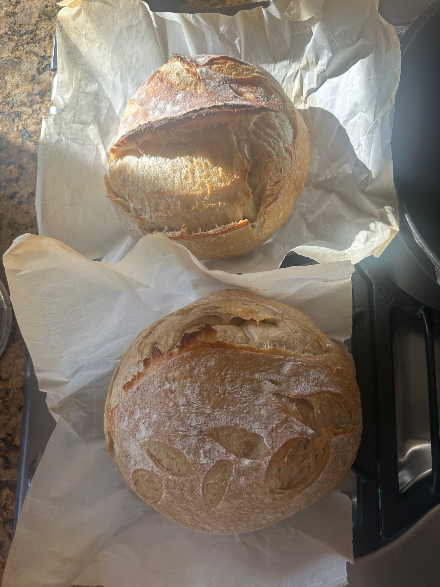 Classic Sourdough Loaf (Small & Large)